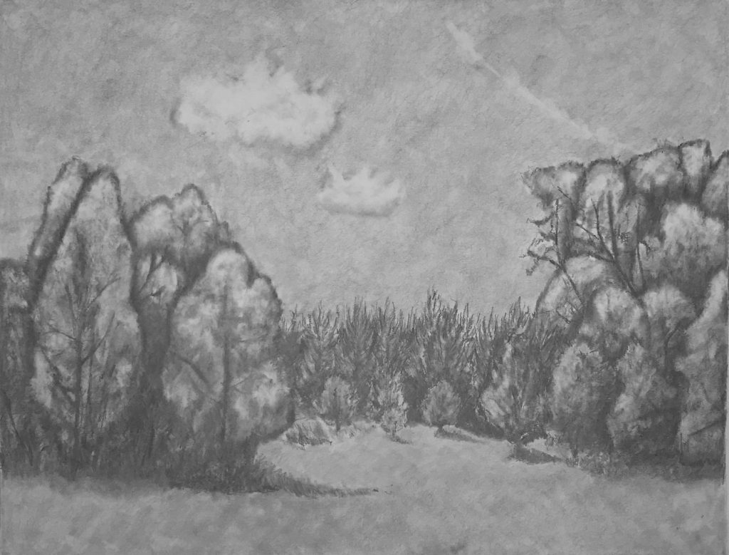 2021 Fall Art Show - Ashleigh White. Landscape Study. Graphite on paper. 11x14.